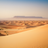 The dunes 